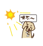 Dachshund's daily（個別スタンプ：33）