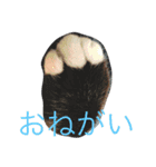 くーちゃんとみーちゃんとちーちゃんのてて（個別スタンプ：23）