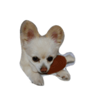 mofufu（個別スタンプ：3）