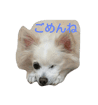 えびぃちりぃ（個別スタンプ：5）