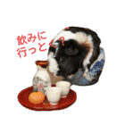 えびぃちりぃ（個別スタンプ：7）