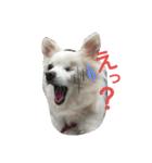 えびぃちりぃ（個別スタンプ：9）