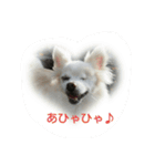 えびぃちりぃ（個別スタンプ：15）