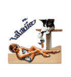 Cat beautiful wing wing WnG (Double-u)（個別スタンプ：5）