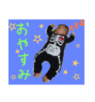 我が家のアイドル蒼士①（個別スタンプ：1）
