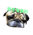 puggyemoji（個別スタンプ：4）