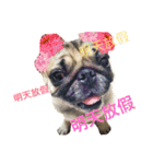 puggyemoji（個別スタンプ：5）