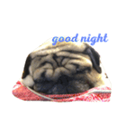 puggyemoji（個別スタンプ：7）