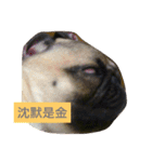 puggyemoji（個別スタンプ：11）
