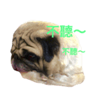puggyemoji（個別スタンプ：16）