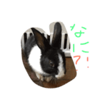 動物大集合！（個別スタンプ：6）