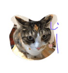 動物大集合！（個別スタンプ：8）