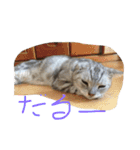 動物大集合！（個別スタンプ：10）