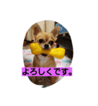 ポテトと、リリィ（個別スタンプ：2）