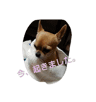 ポテトと、リリィ（個別スタンプ：4）
