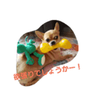 ポテトと、リリィ（個別スタンプ：5）