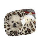 mini.mini.mini（個別スタンプ：4）