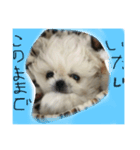mini.mini.mini（個別スタンプ：7）