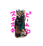 2co1（個別スタンプ：5）