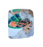 Tinayan（個別スタンプ：1）