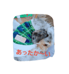 Tinayan（個別スタンプ：5）