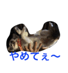 リキコリキ（個別スタンプ：2）
