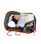 リキコリキ（個別スタンプ：6）