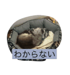 リキコリキ（個別スタンプ：8）