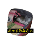 リキコリキ（個別スタンプ：11）