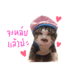 P' meaw and N' nean（個別スタンプ：4）