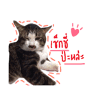 P' meaw and N' nean（個別スタンプ：6）
