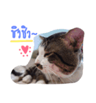 P' meaw and N' nean（個別スタンプ：8）
