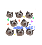 P' meaw and N' nean（個別スタンプ：9）