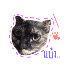 P' meaw and N' nean（個別スタンプ：14）
