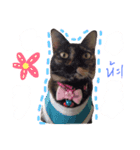 P' meaw and N' nean（個別スタンプ：16）