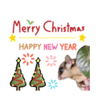 Sugar Glider Happy New Year（個別スタンプ：2）