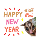 Sugar Glider Happy New Year（個別スタンプ：3）
