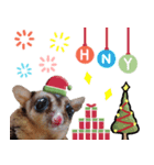 Sugar Glider Happy New Year（個別スタンプ：4）