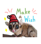 Sugar Glider Happy New Year（個別スタンプ：6）