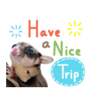 Sugar Glider Happy New Year（個別スタンプ：8）