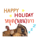 Sugar Glider Happy New Year（個別スタンプ：9）