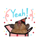 Sugar Glider Happy New Year（個別スタンプ：10）