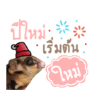 Sugar Glider Happy New Year（個別スタンプ：11）