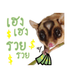 Sugar Glider Happy New Year（個別スタンプ：14）