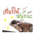 Sugar Glider Happy New Year（個別スタンプ：15）