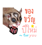 Sugar Glider Happy New Year（個別スタンプ：18）