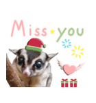 Sugar Glider Happy New Year（個別スタンプ：20）