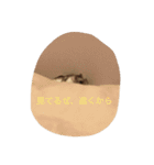 ハムタンラブ（個別スタンプ：6）