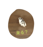 ハムタンラブ（個別スタンプ：14）