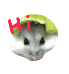 Maru mouse（個別スタンプ：2）